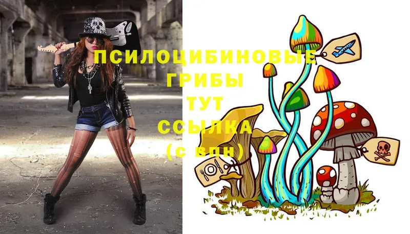 Псилоцибиновые грибы Psilocybe  Островной 